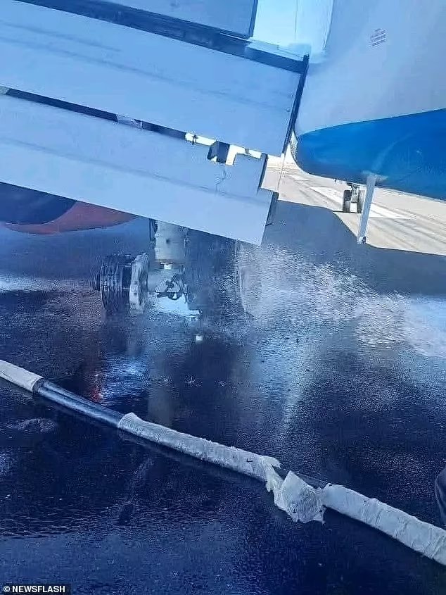 83983569 13340493 image a 28 1713875383207