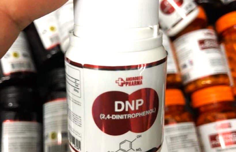 dnp 1