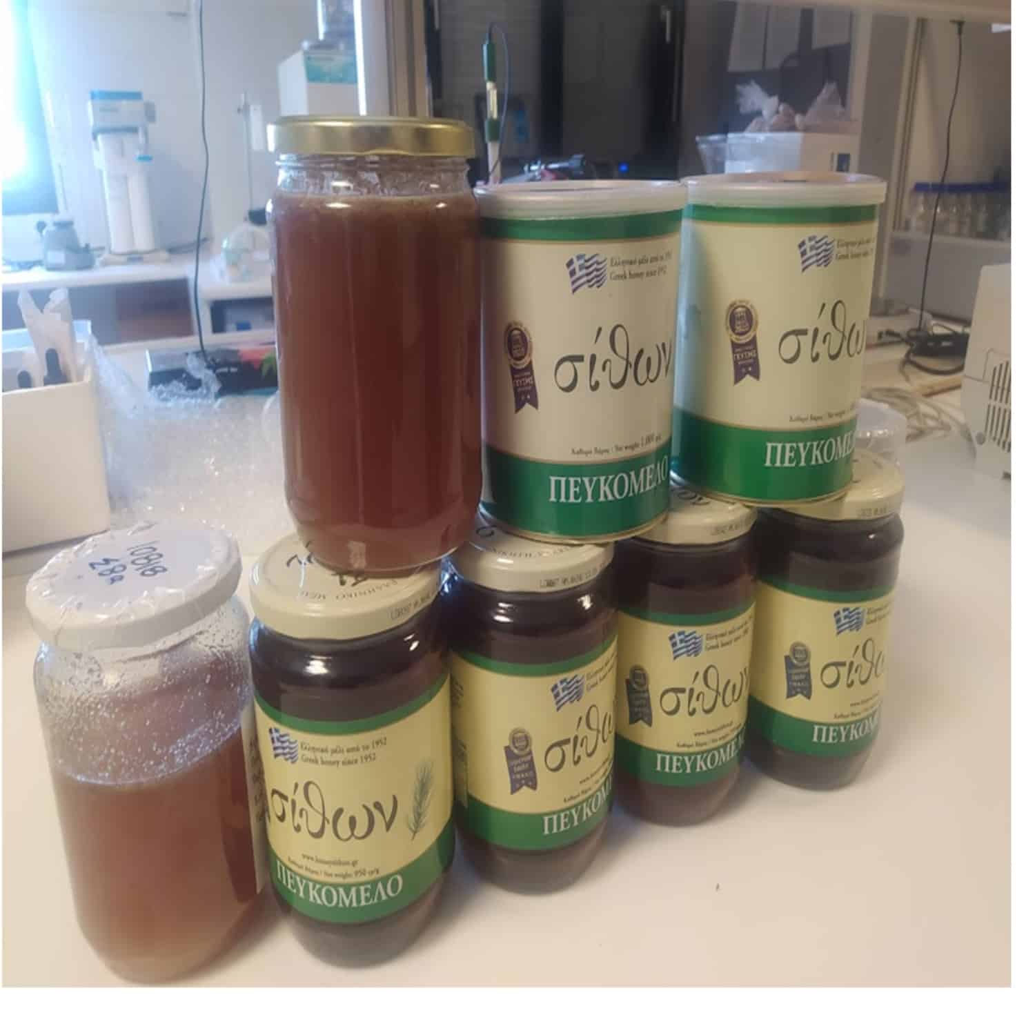 peykomelodeigmataergastirio