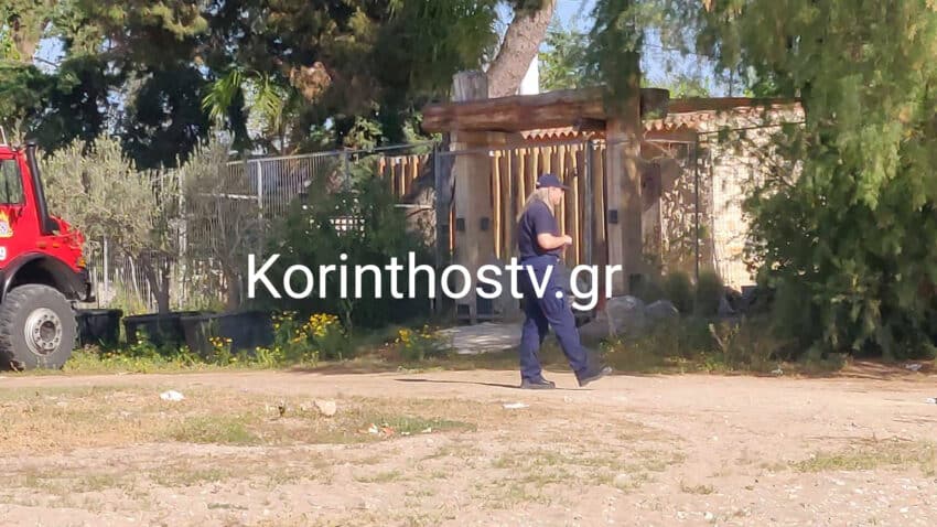 psx 20240411 102041 850x478 1