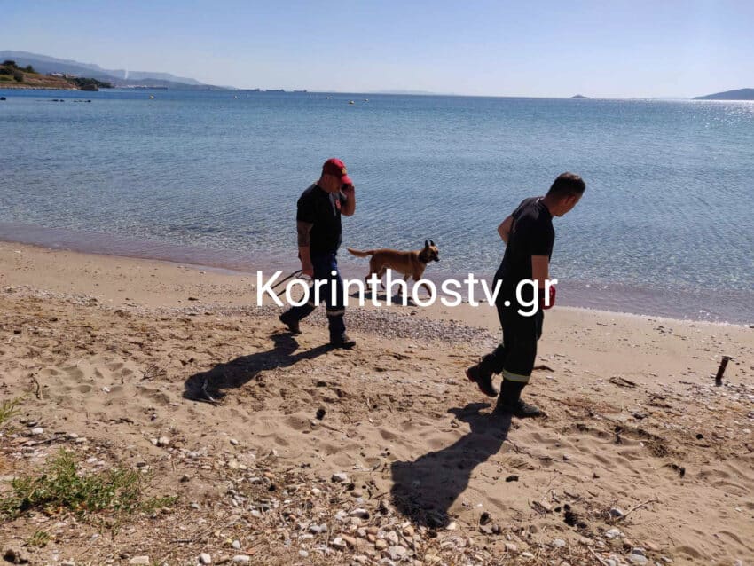 psx 20240411 105733 850x638 1