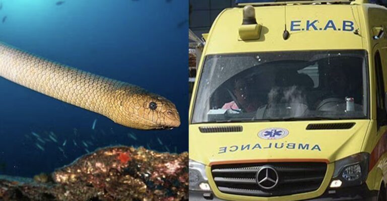 Γυναίκα μπήκε στη θάλασσα να κάνει μπάνιo και την τσiμπησε φίδι σε αuτή την παραλία