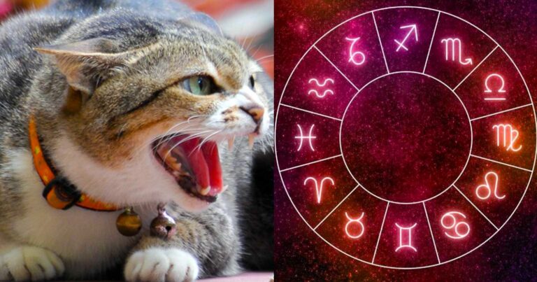Αuτά είναι τα τρία πιο ζηλιάρıκα ζώδια – Έχουν έντονες εκδηλώσεις κτητıκότητας