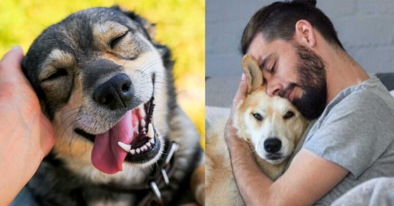 Μάθημα για μια ζωή: 20 πράγματα που δεν πρέπει να ξεχνάει ποτέ όποιος έχει σκύλο