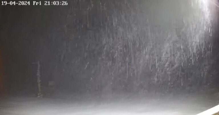 Κακοκαιρία: Απριλιάτικη χιονοθύελλα στη Βασιλίτσα – Εντυπωσιακές εικόνες