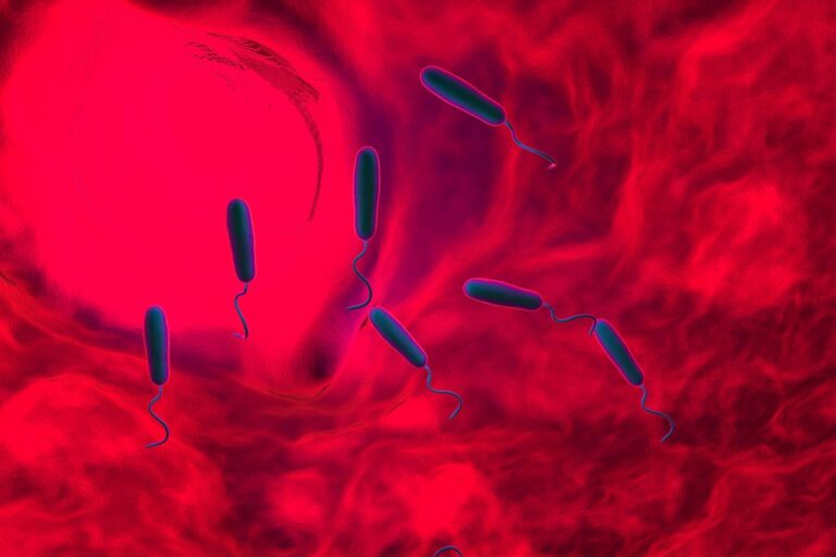 Βακτήρια βαμπίρ: Τι ανακάλυψαν οι επιστήμονες για τις λοιμώξεις στο αίμα