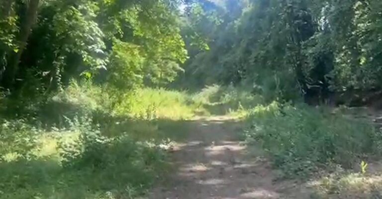 Θεσσαλονίκη: «Μόλις την βρήκαν ζήτησε νεράκι και παγωτό, όλα πήγαν καλά» – Τι λέει ο πατέρας της 8χρονης που εξαφανίστηκε  