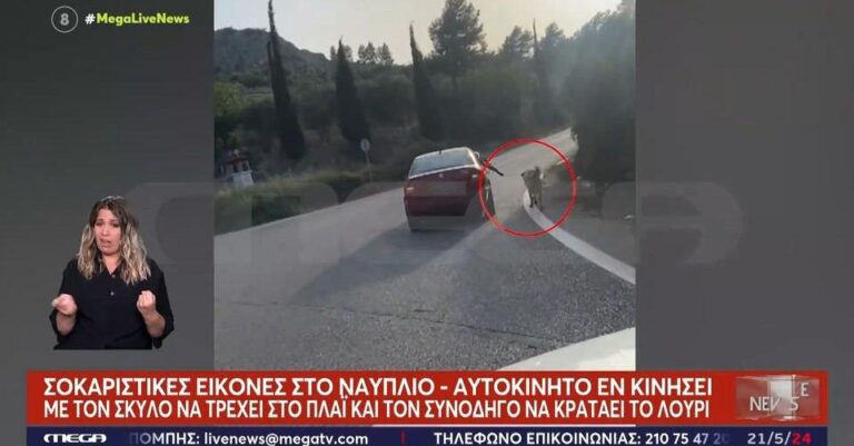 Ναύπλιο: Έσερναν τον σκύλο τους με λουρί από το ανοιχτό παράθυρο