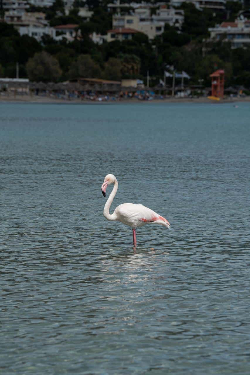 441463899 873388461491207 5167926989600889889 n