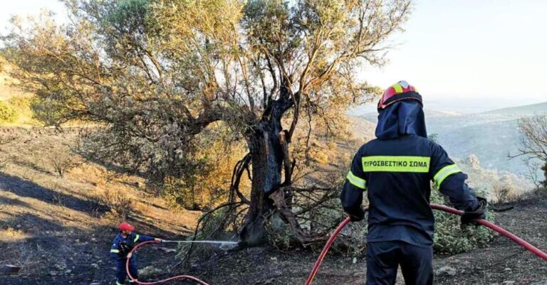 Έτσι συνέλαβαν τον εμπρηστή του Αιγάλεω οι δυνάμεις της Αστυνομίας