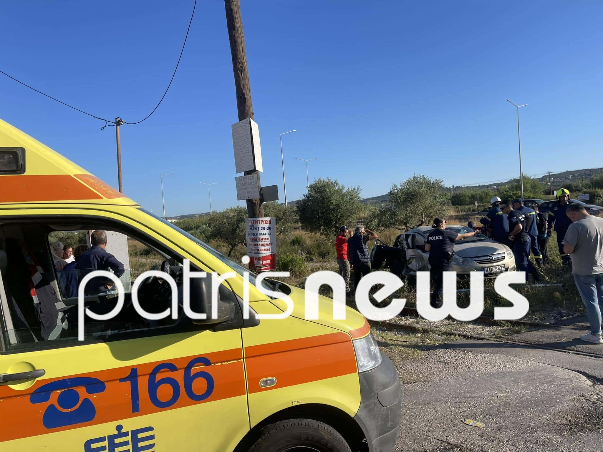 445602785 1446496672904184 8022845221552912151 n 1