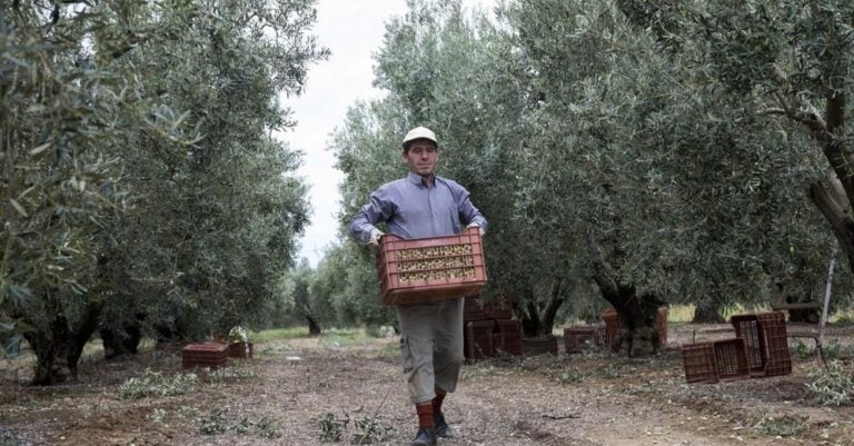 «Βóμβα» από τον ΟΠΕΚΕΠΕ: Αuτοί πρέπει να δώσουν πίσω χιλιάδες ευρώ