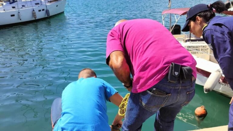 «Πάγωσαν» όλοι στο λιμάνι του Βόλου: Εντοπίστηκε καρχαρίας αλεπού μήκους 3,5 μέτρων να κολυμπάει δίπλα τους