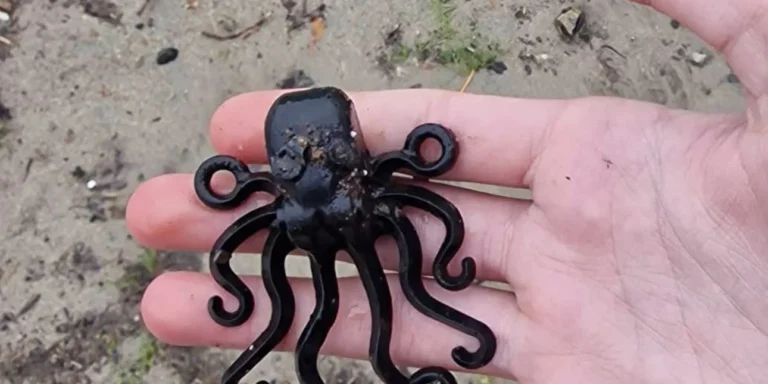 13χρονος βρήκε συλλεκτικό Lego χταπόδι που είχε χαθεί το 1997 σε ναυάγιο στην Κορνουάλη