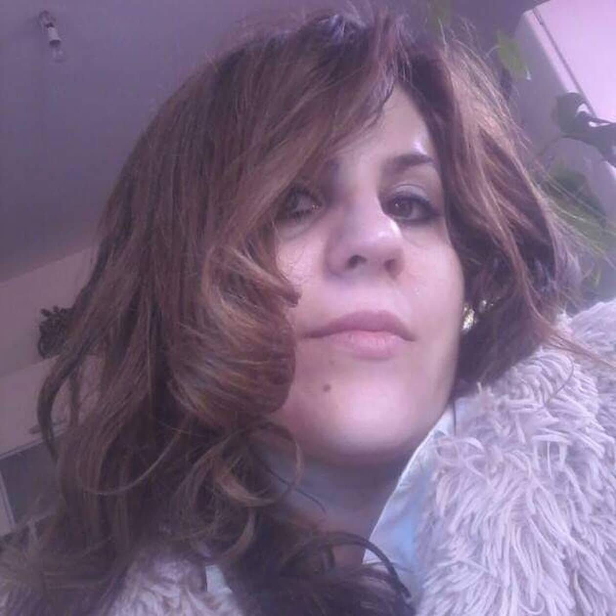 menidi 1