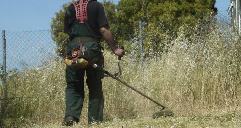 Εξελίξεις με τις δηλώσεις καθαρισμού οικοπέδων