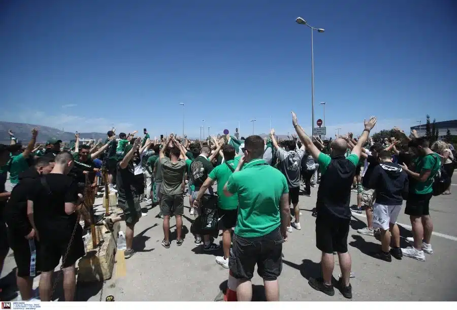panathinaikos50