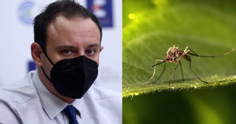 «Καμπανάκι» Μαγιορκίνη για δάγκειο πυρετό: «Θέμα χρόνου η εμφάνισή του στην Ελλάδα»