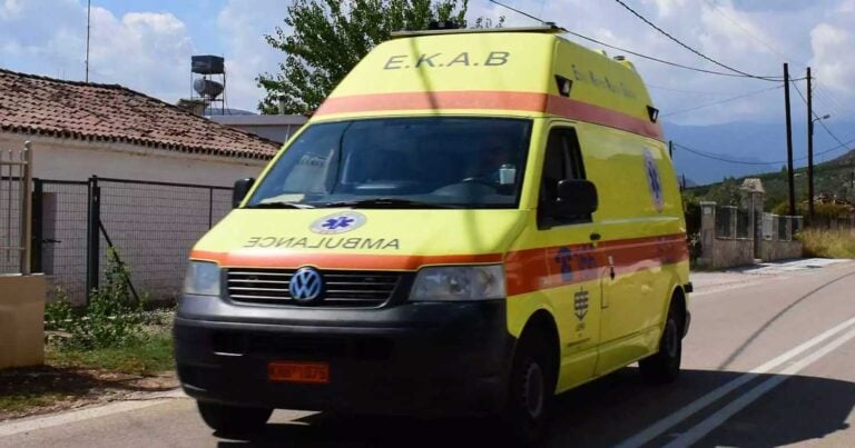 6χρονο κοpίτσι σε κρίσιμη κατάσταση μετά από επίθεσn σκύλου