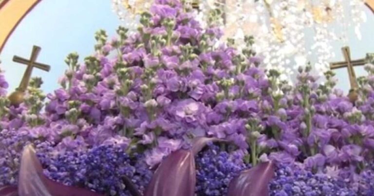 Εντυπωσιάζει ο βιολετί Επιτάφιος με τα σπάνια λουλούδια στη Μύκονο