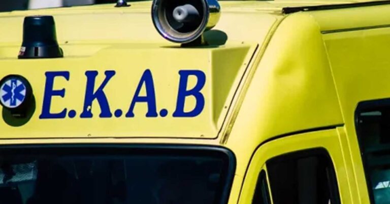 Σμήνος από μέλισσες επιτέθηκε σε επιβάτες αυτοκινήτο – Ένα άτομο έχασε τις αισθήσεις του