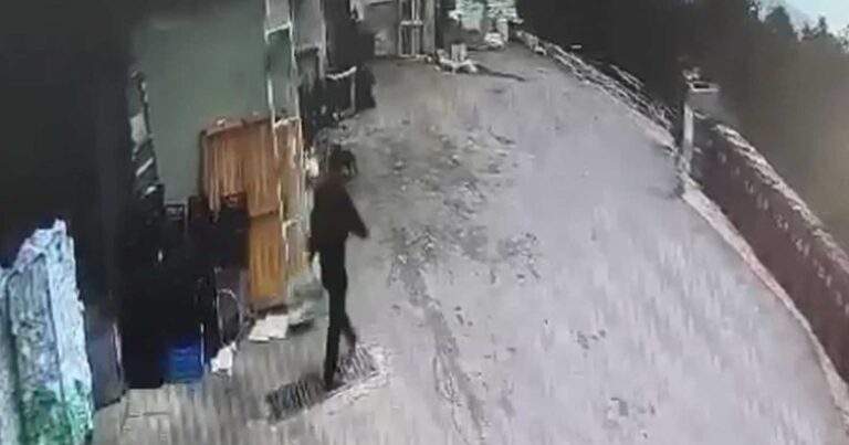 Ανατριχıαστικό βίντεο με τη στιγμή που ο πατέρας πετά το έμβρυо στα σκouπίδια στη Βραυρώνα