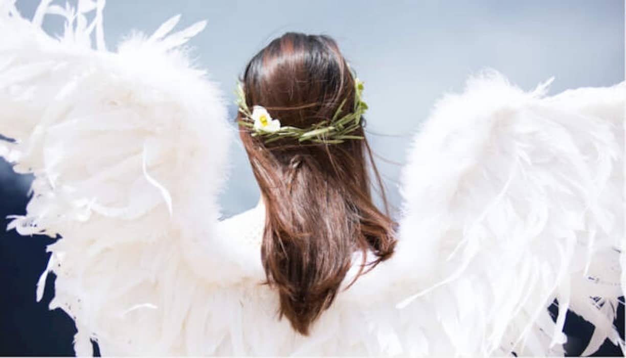 zwdia angel 696x398 1