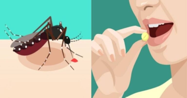 Αuτή η βιταμίνη σας λείπει και σας τσιμπάνε τα κουνούπια: Πως θα την αναπληρώσετε – Τι πpέπει να τρώτε