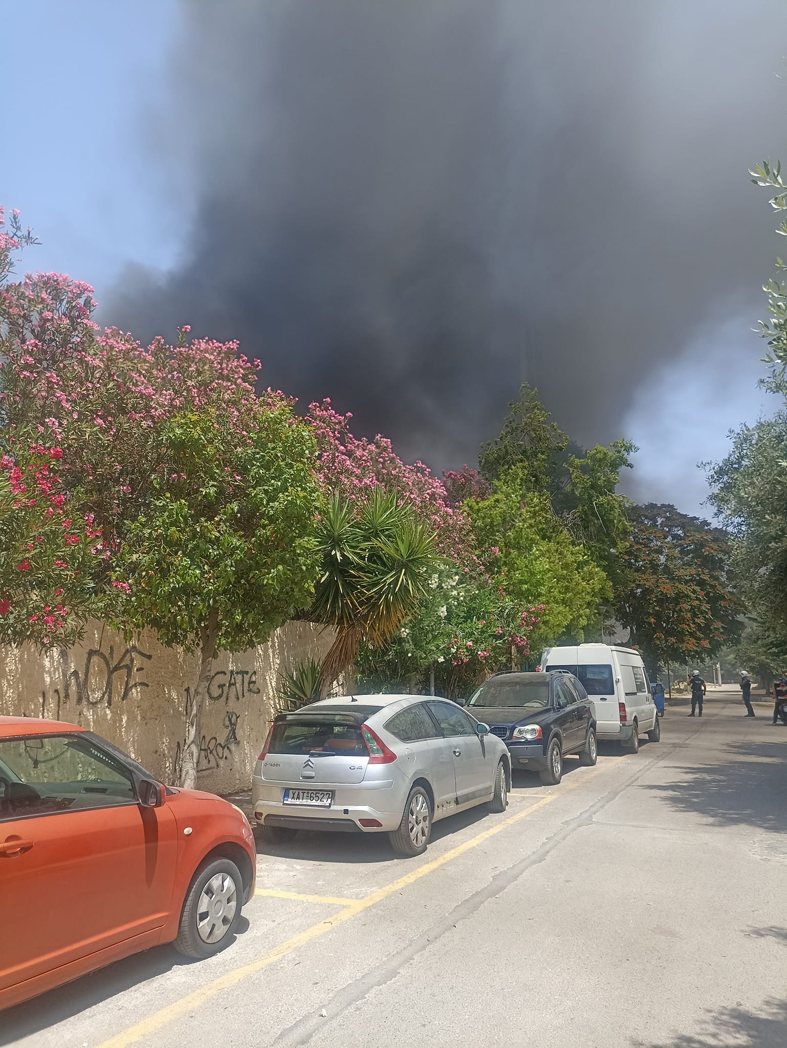 448899878 977664081036521 5585270789632196337 n