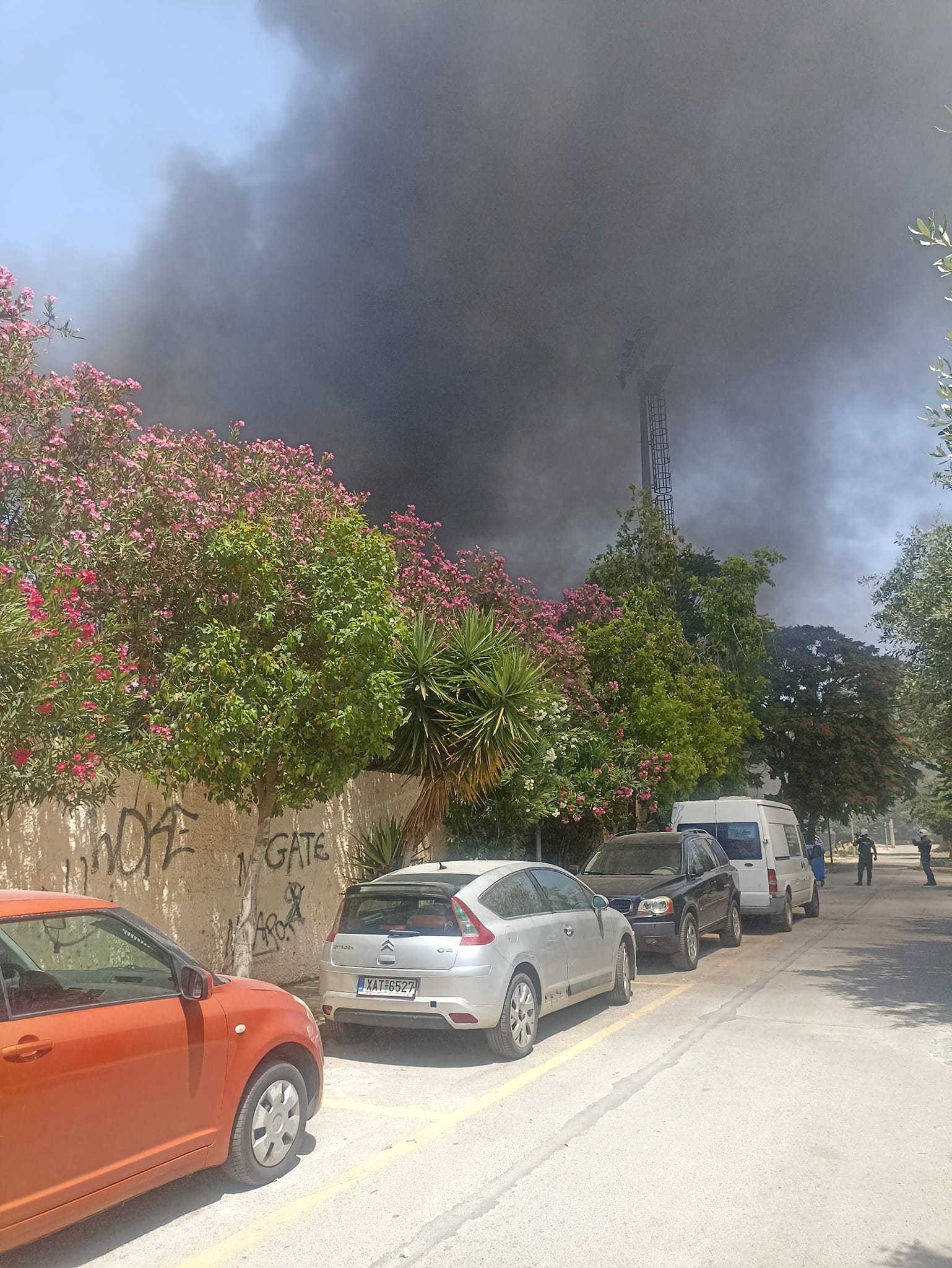 448900880 977664001036529 365090831036969969 n