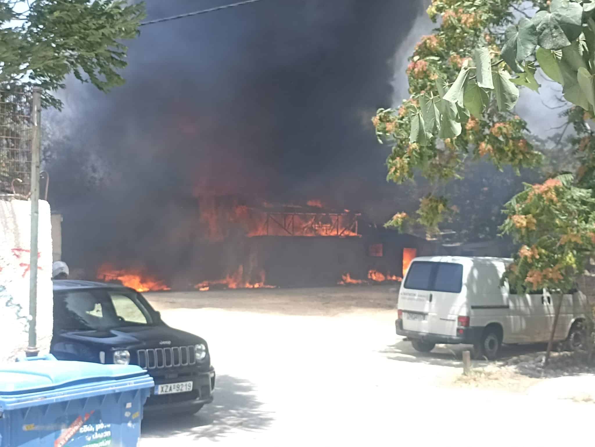 448903547 977663944369868 4614446657988655244 n