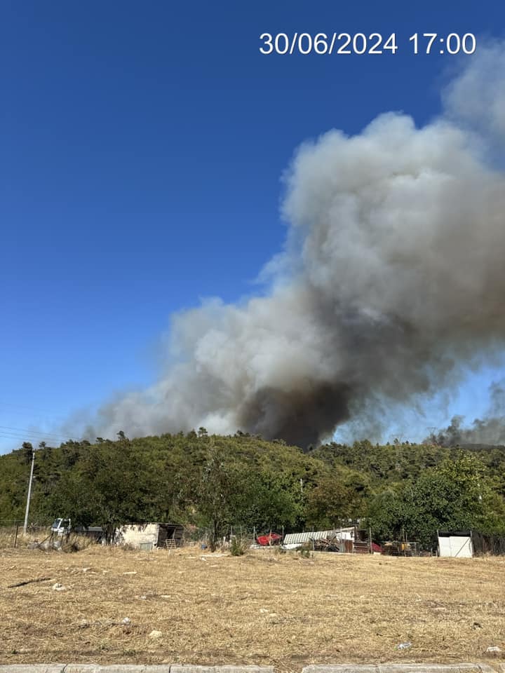 449432729 1162804668368447 2621483141489958633 n