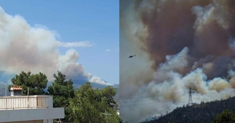 Καίγεται η Πάρνηθα: Kόλαση από τους καπνούς – Eικόνες που έτρεμαν οι Αθηναίοι με ισχυρούς άνεμους