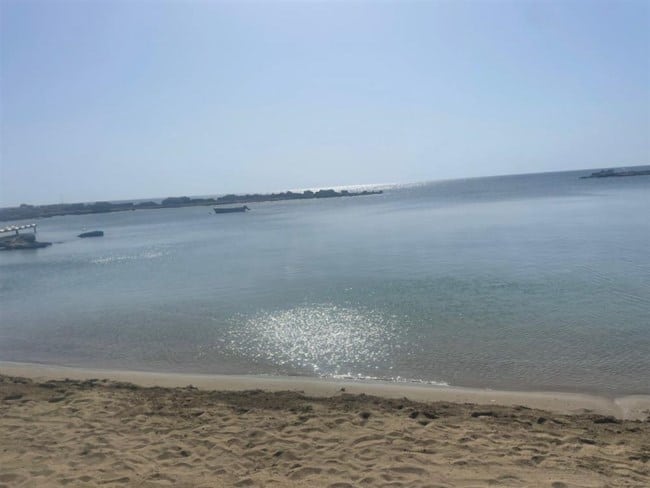 7dce1c81d07a479d8105492f65b35953