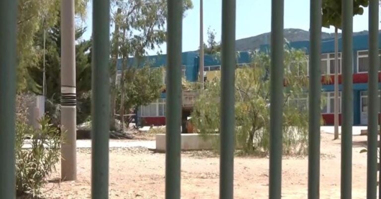 Παπάγου: Ο 47χρονος εργάτης έκοβε τα κλαδιά πάνω σε έναν ευκάλυπτο – Πώς έγινε η τραγωδία