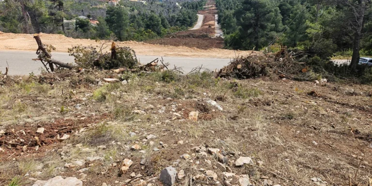 Παράταση στις δηλώσεις καθαρισμού οικοπέδων μέχρι τις 15 Ιουλίου, λόγω πληθώρας αιτήσεων – Η διαδικασία