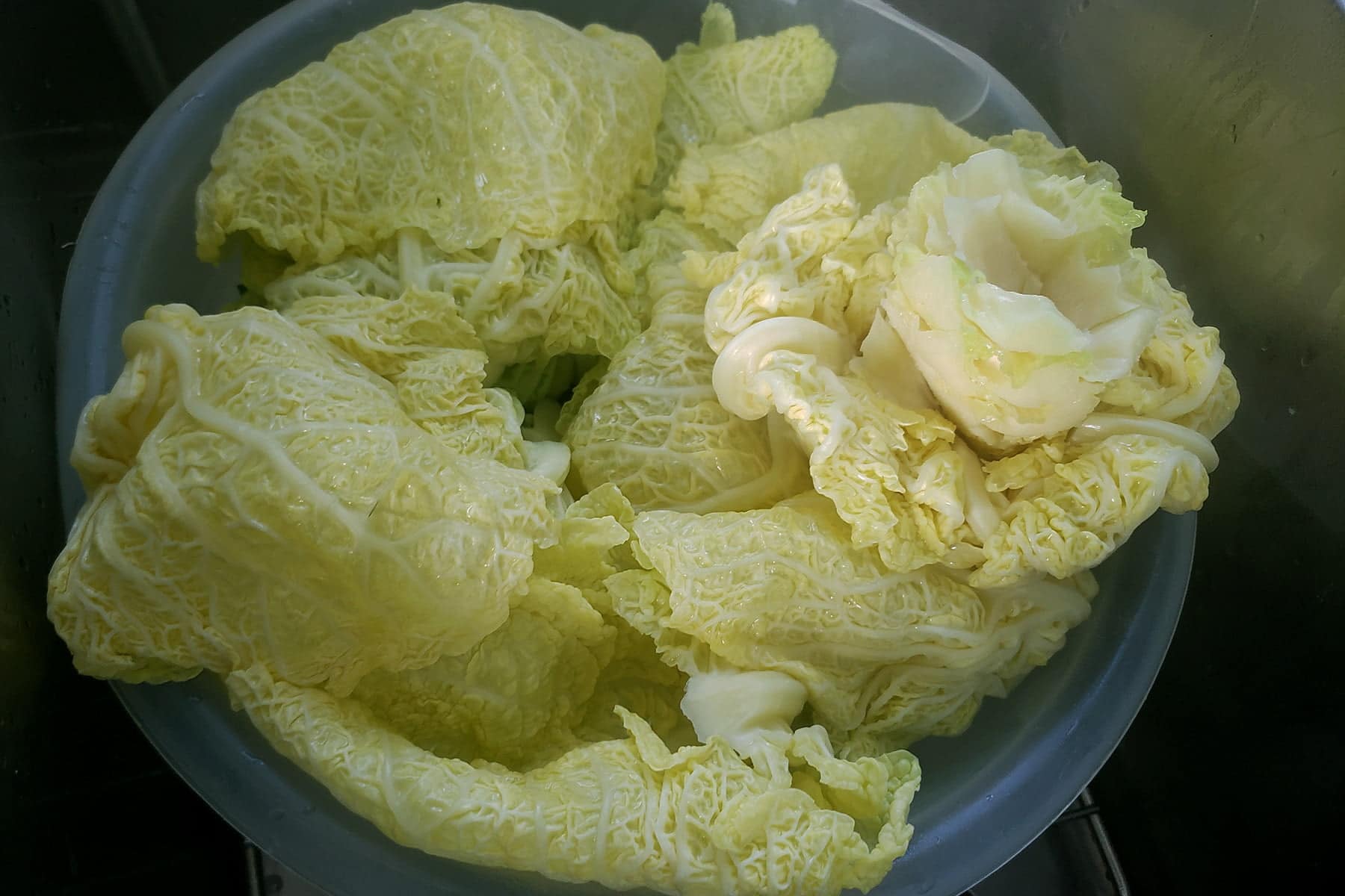 chicken cabbage rolls 7