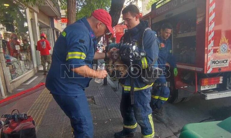 Φωτιά σε διαμέρισμα στην Πατησίων – Οι πυροσβέστες διέσωσαν και το γατάκι των ενοίκων