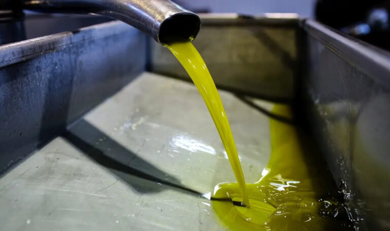 Ελαιόλαδο: Μειώνεται επικίνδυνα η παγκόσμια παραγωγή – Ράλι ως 70% στις τιμές