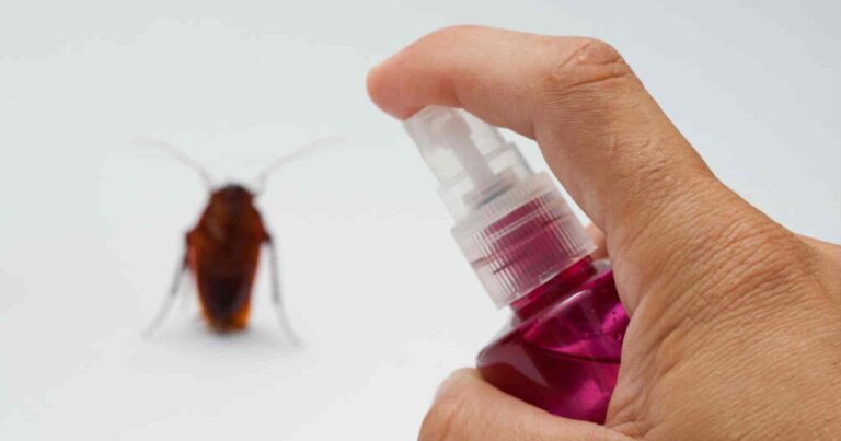 Κουνούπια, μύγες, κατσαρίδες τέλος: Πως να απαλλαγείς μια και καλή με 2 μόνο υλικά