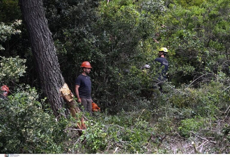 Ανατροπή με τον καθαρισμό των οικοπέδων – Τι ισχύει για φέτος