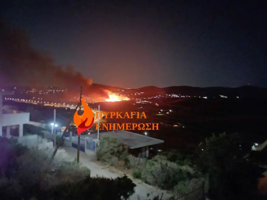 fotia 2