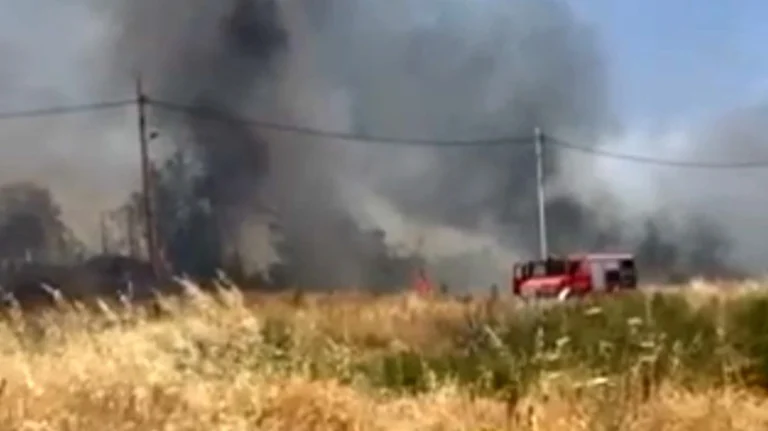 Φωτιά στη Βαρυμπόμπη: Στο σημείο ισχυρές δυνάμεις της Πυροσβεστικής