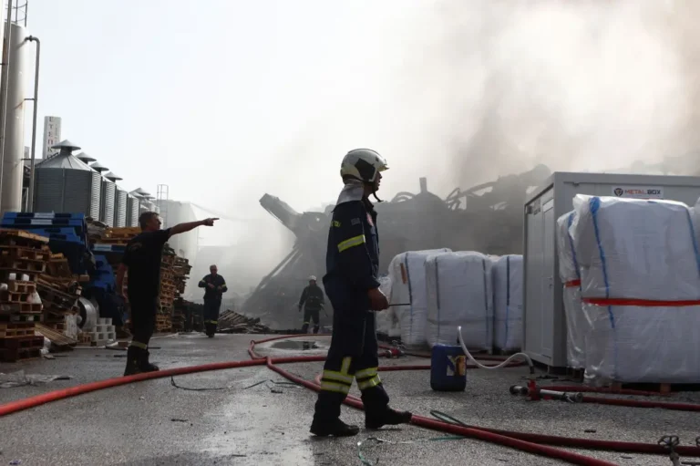 Auτή είναι η πασίγνωστη πρώην υπουργός που καίγεται το εργοστάσιο του συζύγου της στη Κάτω Κηφισιά 