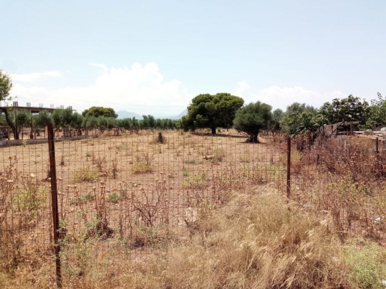 Τι πρέπει να κάνετε για τα ακαθάριστα οικόπεδα – Ποια προθεσμία λήγει σήμερα