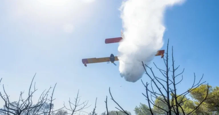 Φωτιά σε έκταση στο Πεταλίδι Μεσσηνίας – Επί τόπου πέντε εναέρια μέσα