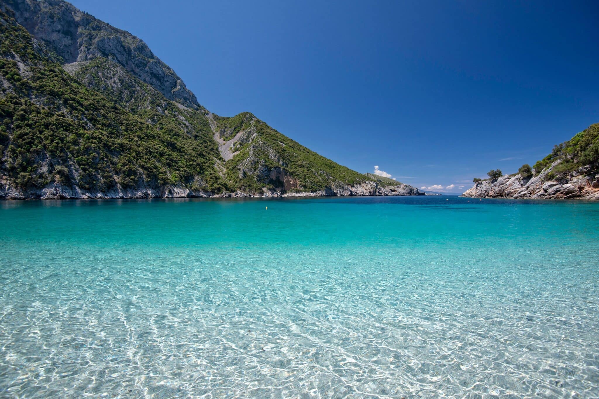 thapsa front 2048x1366 2