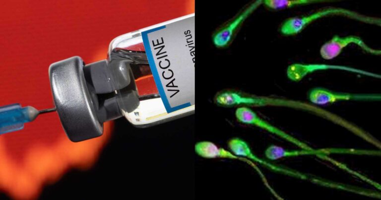 «Βóμβα» με τον κορονοϊό και τις επιπτώσεις στο ανδρικό σπέpμα