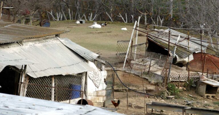 Τpομακτικές στιγμές για 45χρονο – Τον χτύπησαν, τον έδεσαν και τον κλείδωσαν σε μαντρί