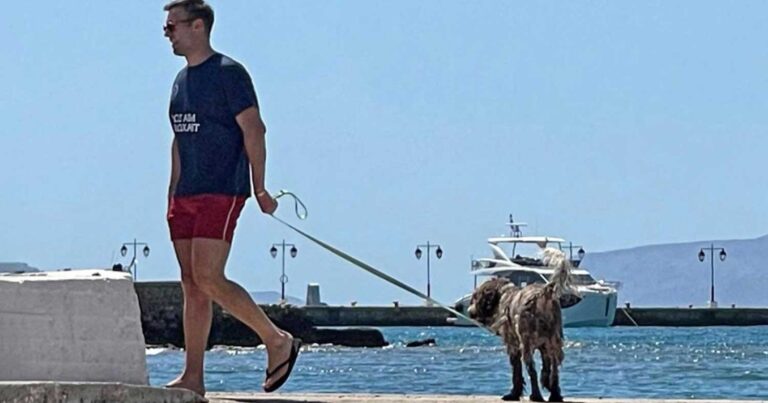 Στέφανος Κασσελάκης: Χαλαρό Σαββατοκύριακο στις Σπέτσες – Βόλτα με τη Φάρλι στην παραλία